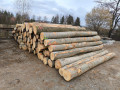 img-20250310-wa0043.jpg