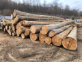 img-20250310-wa0026.jpg