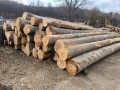 img-20250310-wa0023.jpg