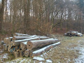 img-20250318-wa0021.jpg