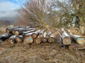 img-20250318-wa0022.jpg