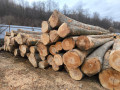 img-20250310-wa0018.jpg