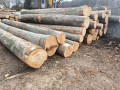 img-20250310-wa0021.jpg