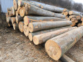 img-20250310-wa0022.jpg