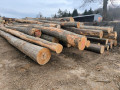img-20250310-wa0024.jpg