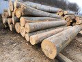 img-20250310-wa0027.jpg