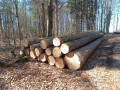 img-20250320-wa0003.jpg