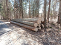 img-20250320-wa0004.jpg
