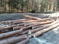 img-20250320-wa0001.jpg