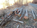 img-20250320-wa0010.jpg