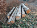 img-20250320-wa0011.jpg