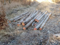 img-20250320-wa0012.jpg