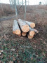 img-20250320-wa0013.jpg