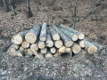img-20250320-wa0009.jpg