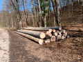 img-20250321-wa0008.jpg