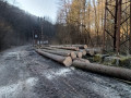 img-20250321-wa0002.jpg