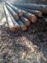 img-20250320-wa0020.jpg