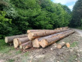 img-20250512-wa0004.jpg