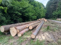 img-20250512-wa0005.jpg