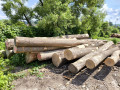 img-20250521-wa0001.jpg