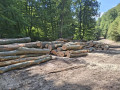 img-20250901-wa0004.jpg