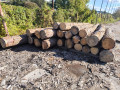 img-20251002-wa0013.jpg