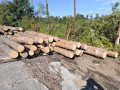 img-20251002-wa0015.jpg