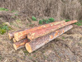 img-20260326-wa0003.jpg