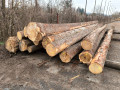 img-20260326-wa0004.jpg