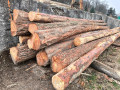 img-20260326-wa0007.jpg