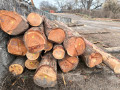img-20260326-wa0006.jpg