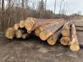 img-20260326-wa0005.jpg