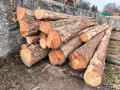 img-20260326-wa0008.jpg