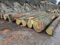 img-20260331-wa0024.jpg