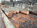 img-20260331-wa0023.jpg