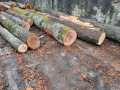 img-20260331-wa0026.jpg