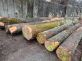 img-20260331-wa0027.jpg