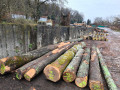 img-20260331-wa0028.jpg