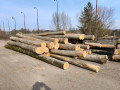img-20260311-wa0001.jpg