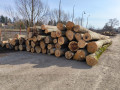 img-20260311-wa0000.jpg