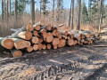 img-20260402-wa0005.jpg