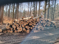 img-20260402-wa0003.jpg