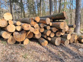 img-20260402-wa0004.jpg