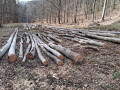 img-20260402-wa0002.jpg