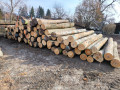 img-20260311-wa0008.jpg