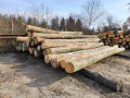 img-20260311-wa0007.jpg