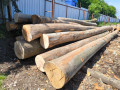img-20260514-wa0011.jpg