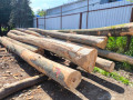img-20260514-wa0007.jpg