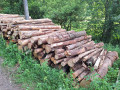 20260708_080157.jpg