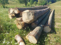 img-20260721-wa0011.jpg